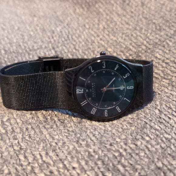 Skagen Swiss Made Watch - Picture 1 of 6